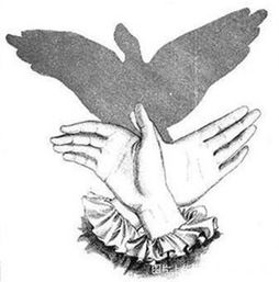 手影游戏是利用了光的什么原理，手影游戏教案反思