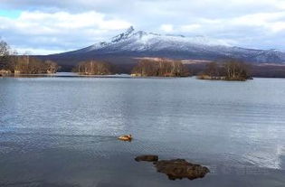 沼这个字怎么读