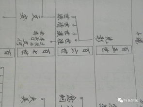 追本溯源的意思