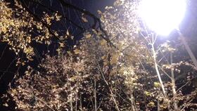 丰收渔歌的背景是什么?