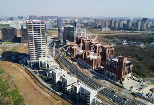 医保两城一家是什么意思