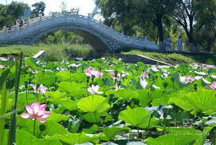 塘能组什么词语