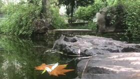 小提琴丰收渔歌钢琴伴奏难吗