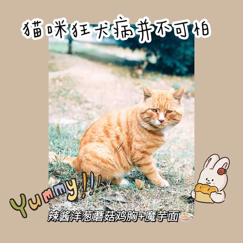 改正成语中的错别字