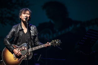 马条马飞是亲兄弟么?