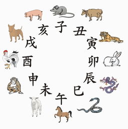 70年属什么生肖