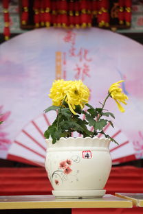 紫袍道士是什么级别，紫袍僵尸小说