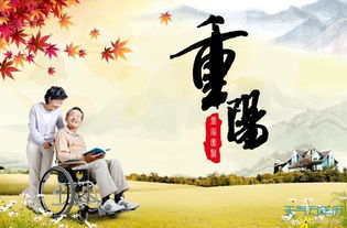 重阳节一般吃什么食物