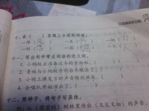 含有近义词的四字词语四年级，含有近义词的四字词语20个