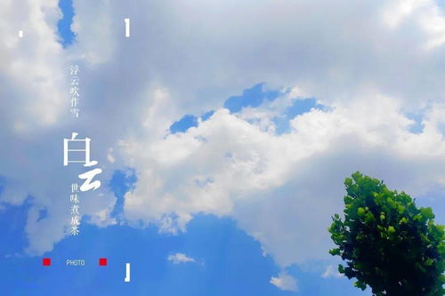 用晴空万里造句(大约30个左右)