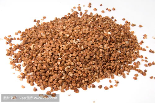 荞麦的英语如何写?