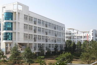 鄂州高中录取分数线2023，鄂州高中教育集团