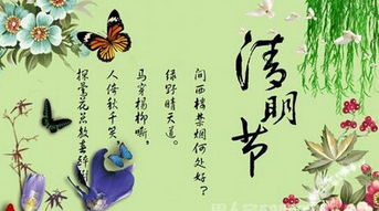 写清明节有感作文