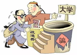 预科生与本科生的区别，预科生的利与弊