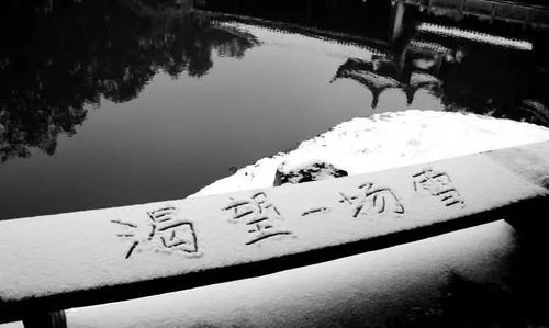 榆树类的气象树是怎样预测天气的?