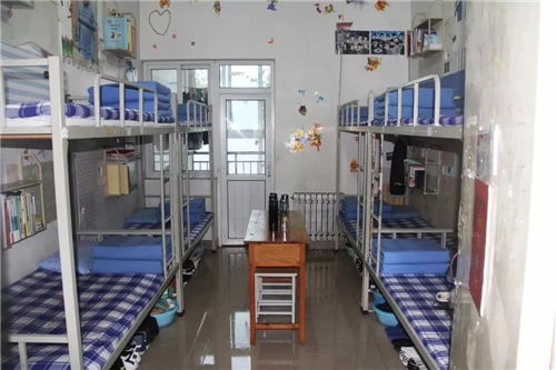 山东职业学院排名多少