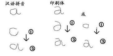 眼睑的读音、拼音、笔顺是什么?
