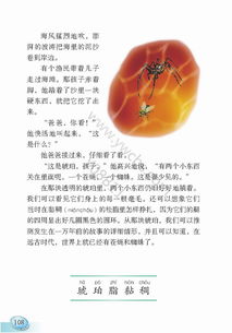 琥珀课文四年级下册，琥珀课文的主要内容