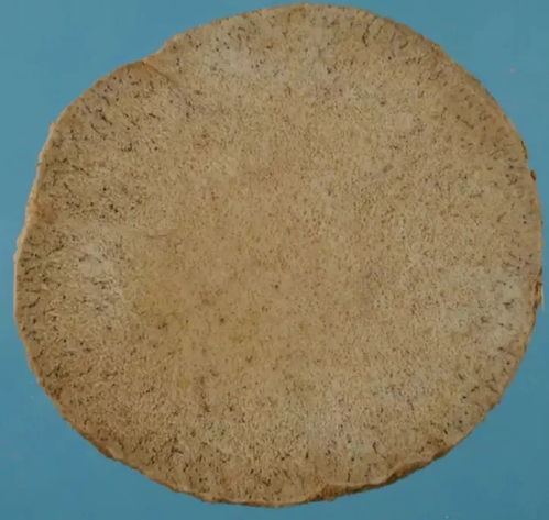 渗的拼音怎么读