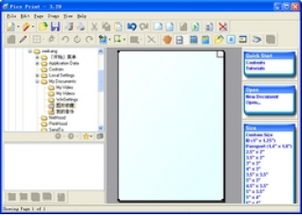 print是什么意思