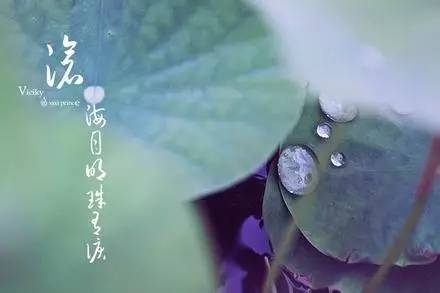 沧海月明珠有泪下一句是什么?