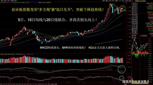 鼓字怎么读拼音是什么。