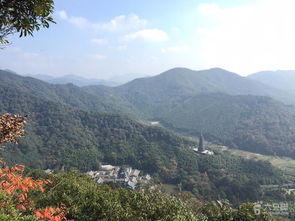 天童山中月夜独坐，天童山中月夜独坐拼音版