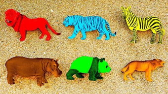 小动物过冬的方式有哪几种，小动物过冬ppt课件