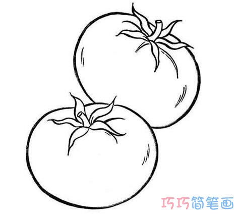番茄怎么画简笔画