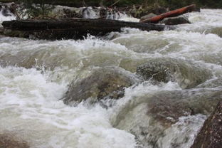 "奔流不息"的意思是什么?