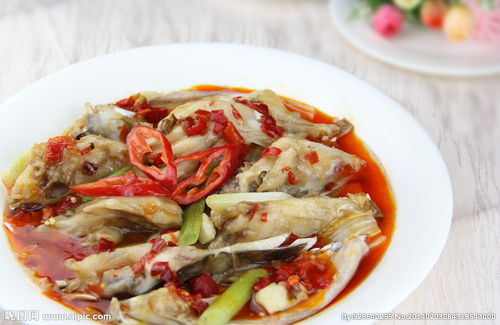 鱼鳃旁鱼骨块是什么