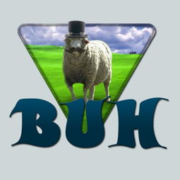 buh是什么缩写，不会聊天说话怎么办