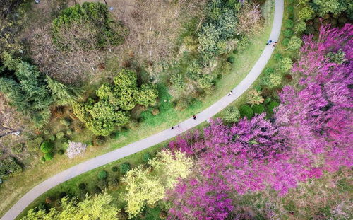 徐州和连云港两个地区每月每日天气预报
