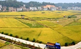 1平方公里等于多少亩土地，1公顷等于多少亩