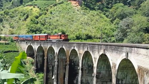 什么的桥一年级下册，什么的桥叠词