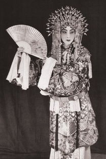 梅兰芳资料四年级，梅兰芳资料20字