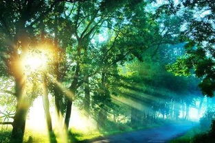 临江山明杨慎拼音版