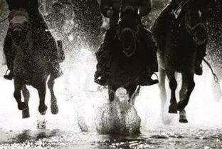 夜阑卧听风吹雨铁马冰河入梦来翻译，夜阑卧听风吹雨铁马冰河入梦来的意思