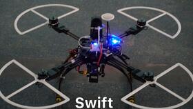 bipedalism，posture