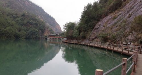 台州未来几天的天气