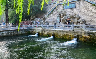 济南黑虎泉是怎么得名的?济南黑虎泉的名称及由来介绍