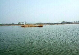 大汶河为什么倒流，大汶河怎么读