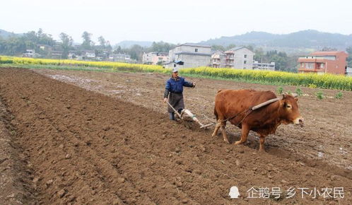 三个田一个土念啥字