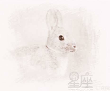 属兔的犯克属相,属兔和什么属相相冲