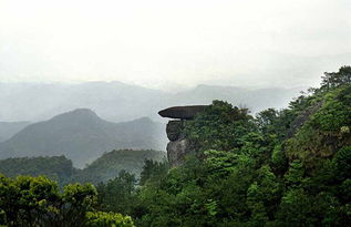 姬岩垂草叶子发红有黑点是病吗