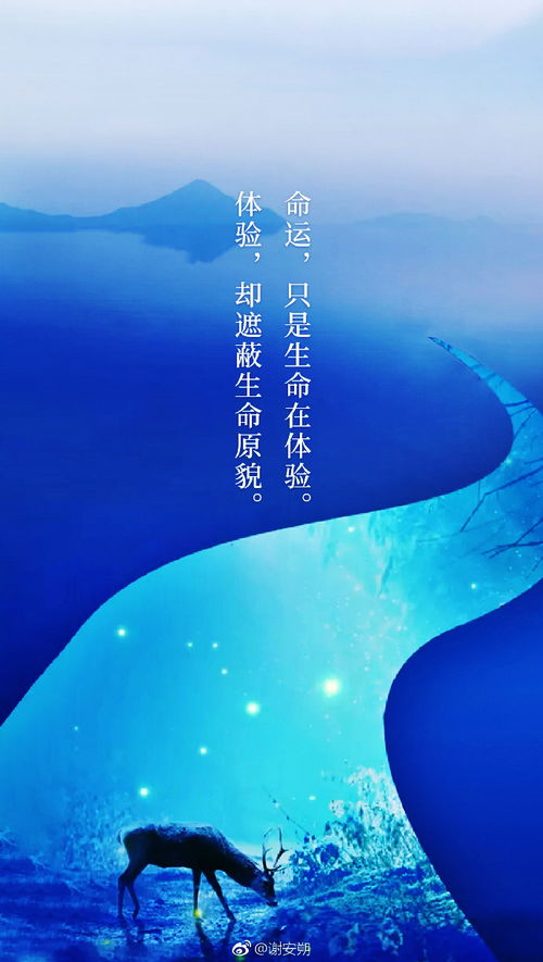 无畏的解释无畏的解释是什么