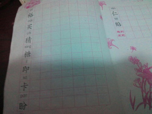 浊字组词有哪些