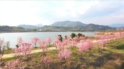 thousands的音标，thousands of 和thousand of的区别