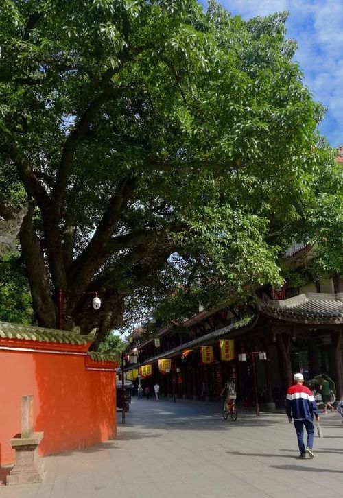 门可罗雀，门口罗雀是成语吗