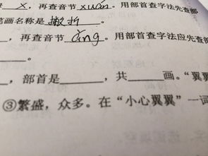 翼部首查字法查什么，翼部首是什么偏旁